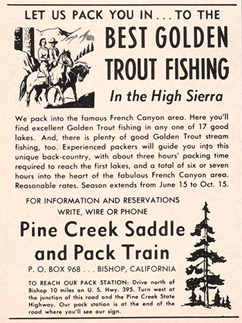 pine creek